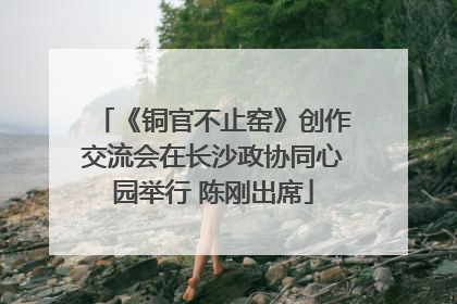 《铜官不止窑》创作交流会在长沙政协同心园举行 陈刚出席