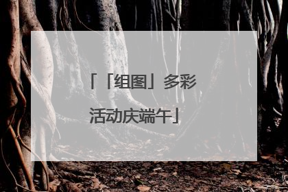 「组图」多彩活动庆端午
