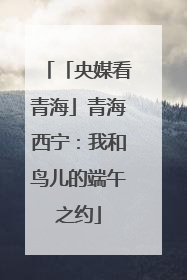 「央媒看青海」青海西宁：我和鸟儿的端午之约