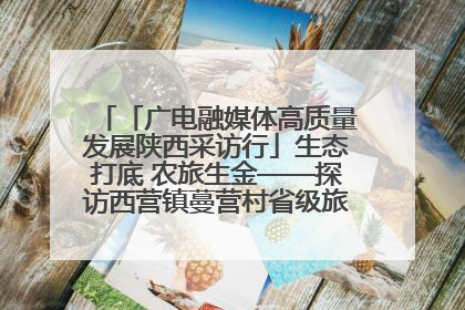 「广电融媒体高质量发展陕西采访行」生态打底 农旅生金——探访西营镇蔓营村省级旅游示范村的振兴密码
