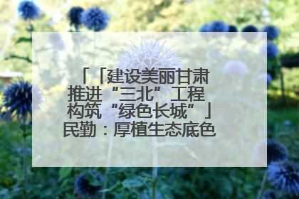「建设美丽甘肃 推进“三北”工程 构筑“绿色长城”」民勤：厚植生态底色 筑牢绿色屏障