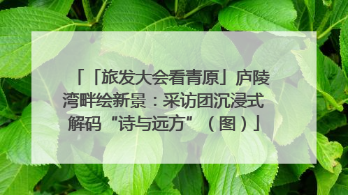 「旅发大会看青原」庐陵湾畔绘新景：采访团沉浸式解码“诗与远方”（图）
