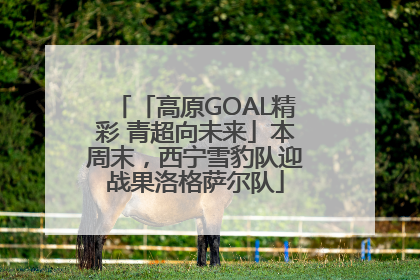 「高原GOAL精彩 青超向未来」本周末，西宁雪豹队迎战果洛格萨尔队