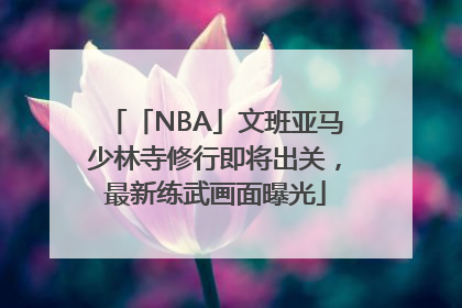 「NBA」文班亚马少林寺修行即将出关，最新练武画面曝光
