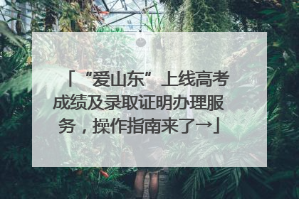 “爱山东”上线高考成绩及录取证明办理服务，操作指南来了→