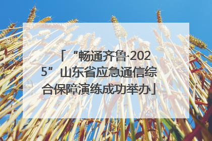 “畅通齐鲁·2025”山东省应急通信综合保障演练成功举办