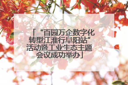 “百园万企数字化转型江淮行阜阳站”活动暨工业生态主题会议成功举办