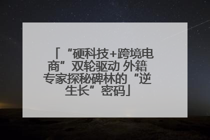“硬科技+跨境电商”双轮驱动 外籍专家探秘碑林的“逆生长”密码