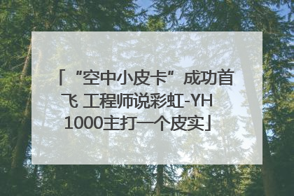 “空中小皮卡”成功首飞 工程师说彩虹-YH1000主打一个皮实