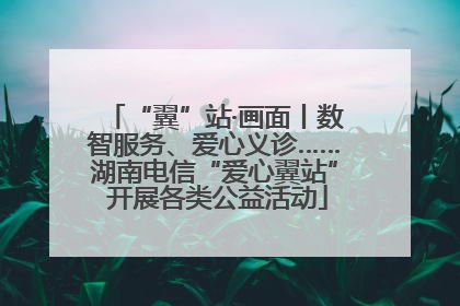 “翼”站·画面丨数智服务、爱心义诊……湖南电信“爱心翼站” 开展各类公益活动