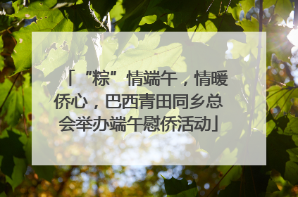 “粽”情端午，情暖侨心，巴西青田同乡总会举办端午慰侨活动