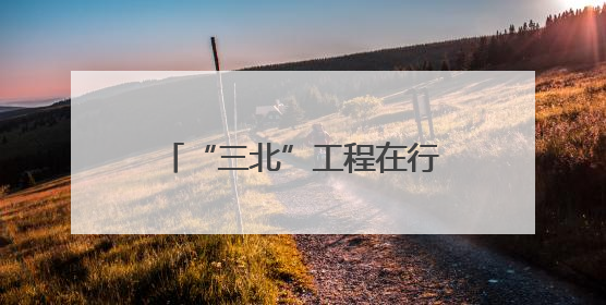 “三北”工程在行动·北京篇：大写意到细工笔，夯实花园城市生态基底
