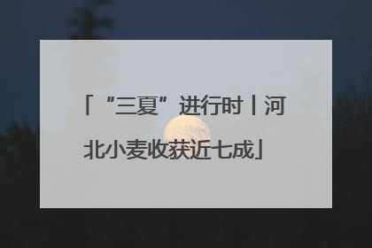 “三夏”进行时丨河北小麦收获近七成