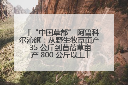 “中国草都” 阿鲁科尔沁旗：从野生牧草亩产 35 公斤到苜蓿草亩产 800 公斤以上
