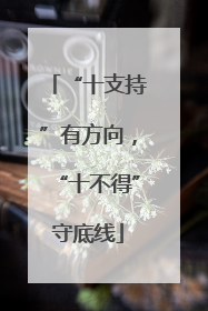 “十支持”有方向，“十不得”守底线
