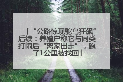 “公路惊现鸵鸟狂飙”后续：养殖户称它与同类打闹后“离家出走”，跑了1公里被找回