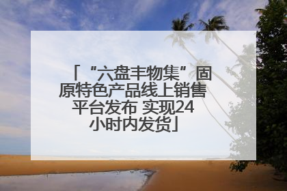 “六盘丰物集”固原特色产品线上销售平台发布 实现24小时内发货