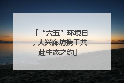 “六五”环境日，大兴廊坊携手共赴生态之约