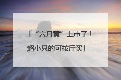 “六月黄”上市了！超小只的可按斤买