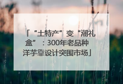 “土特产”变“潮礼盒”：300年老品种洋芋靠设计突围市场