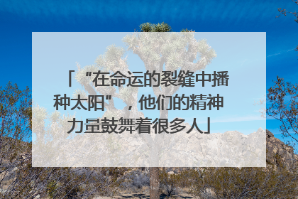“在命运的裂缝中播种太阳”，他们的精神力量鼓舞着很多人