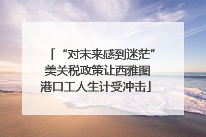 “对未来感到迷茫” 美关税政策让西雅图港口工人生计受冲击