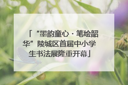 “墨韵童心・笔绘韶华”陵城区首届中小学生书法展隆重开幕