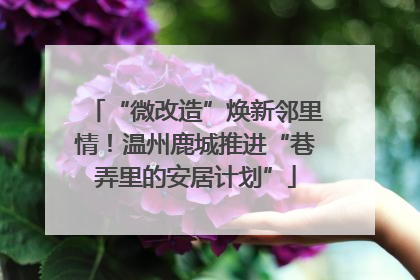 “微改造”焕新邻里情！温州鹿城推进“巷弄里的安居计划”