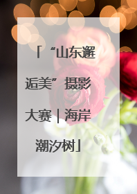 “山东邂逅美”摄影大赛｜海岸潮汐树