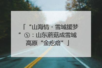 “山海情・雪域援梦”⑤：山东蘑菇成雪域高原“金疙瘩”