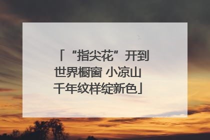 “指尖花”开到世界橱窗 小凉山千年纹样绽新色