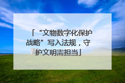 “文物数字化保护战略”写入法规，守护文明需担当