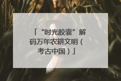 “时光胶囊”解码万年农耕文明（考古中国）