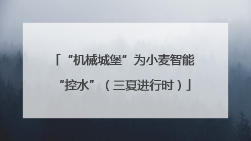 “机械城堡”为小麦智能“控水”（三夏进行时）