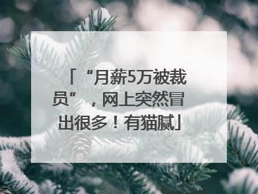 “月薪5万被裁员”，网上突然冒出很多！有猫腻