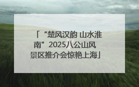 “楚风汉韵 山水淮南”2025八公山风景区推介会惊艳上海
