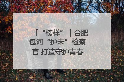 “榜样”｜合肥包河“护未”检察官 打造守护青春成长的永恒灯塔