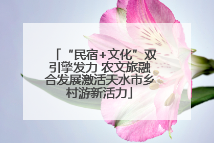 “民宿+文化”双引擎发力 农文旅融合发展激活天水市乡村游新活力