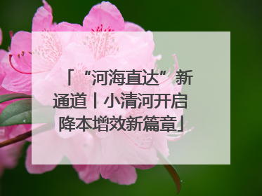 “河海直达”新通道丨小清河开启降本增效新篇章