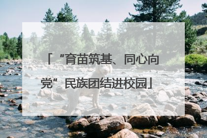 “育苗筑基、同心向党”民族团结进校园