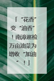 “花香”变“油香”！南漳巡检万亩油菜为增收“加油”！