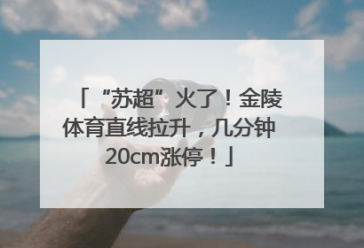 “苏超”火了！金陵体育直线拉升，几分钟20cm涨停！