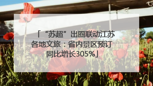 “苏超”出圈联动江苏各地文旅：省内景区预订同比增长305%