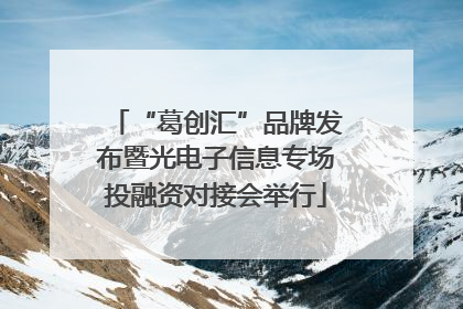 “葛创汇”品牌发布暨光电子信息专场投融资对接会举行