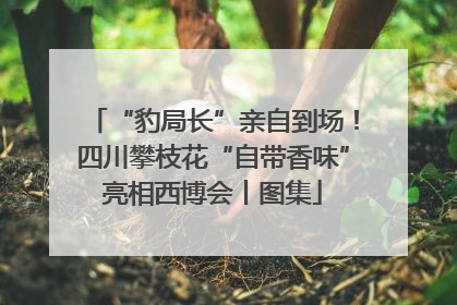 “豹局长”亲自到场！四川攀枝花“自带香味”亮相西博会丨图集