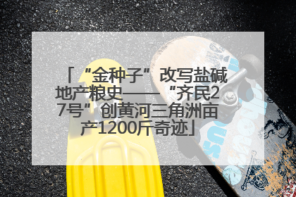 “金种子”改写盐碱地产粮史——“齐民27号”创黄河三角洲亩产1200斤奇迹