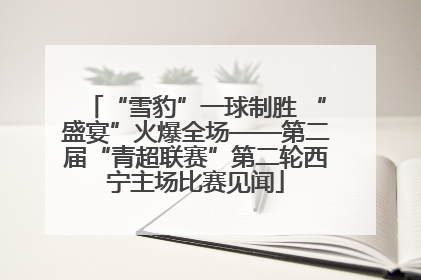 “雪豹”一球制胜 “盛宴”火爆全场——第二届“青超联赛”第二轮西宁主场比赛见闻