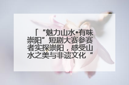 “魅力山水•有味崇阳”短剧大赛参赛者实探崇阳，感受山水之美与非遗文化“提琴戏”魅力
