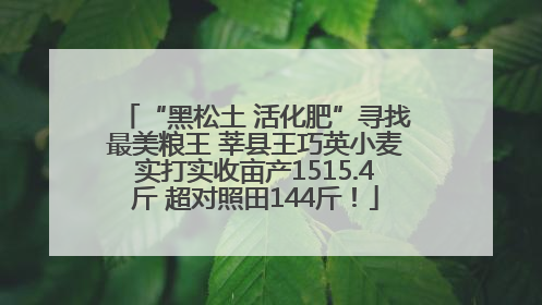 “黑松土 活化肥”寻找最美粮王 莘县王巧英小麦实打实收亩产1515.4斤 超对照田144斤！