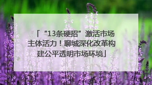 “13条硬招”激活市场主体活力！聊城深化改革构建公平透明市场环境